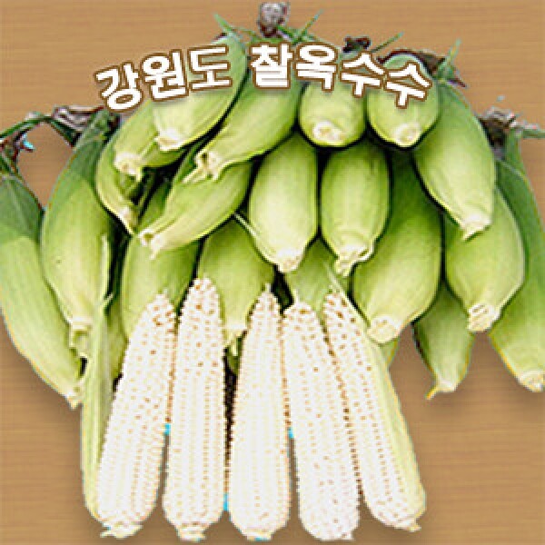 강원 뻥이오뻥잡곡 및 농산물강원도 영월 미백 찰옥수수 30개  