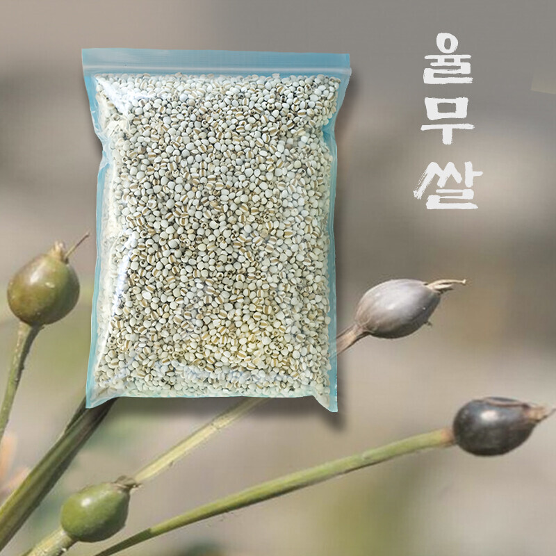 강원더몰,국산 율무쌀 (잡곡)