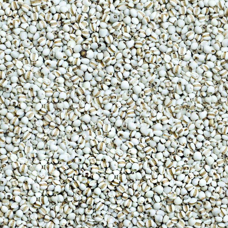 강원더몰,국산 율무쌀 (잡곡)