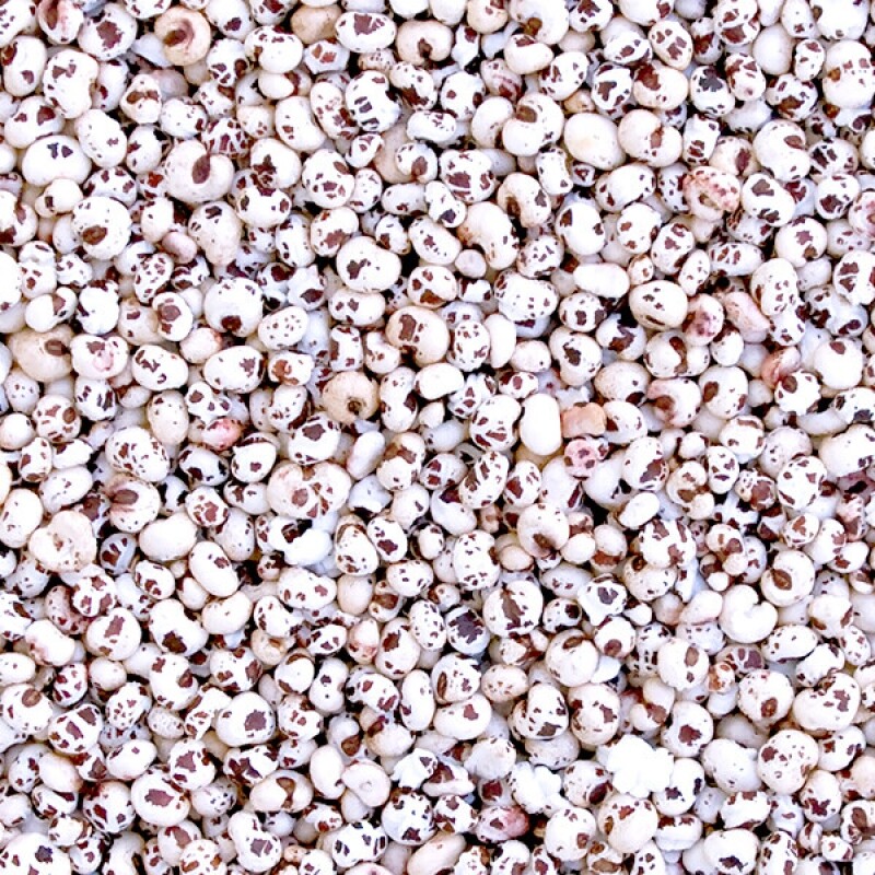 강원더몰,수수뻥튀기/수수튀밥 시리얼대용